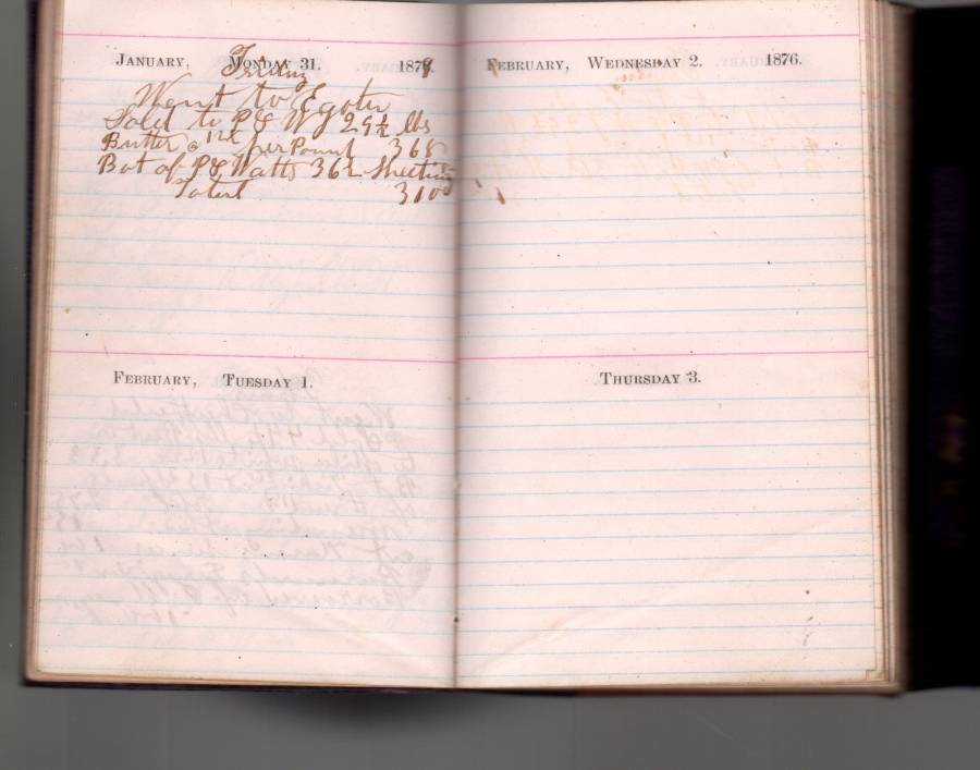 1879-01-31_wfsj.jpg 1879-01-31_wfsj.jpg