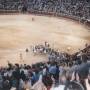 bullfight.jpg