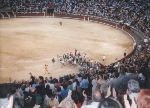 bullfight.jpg