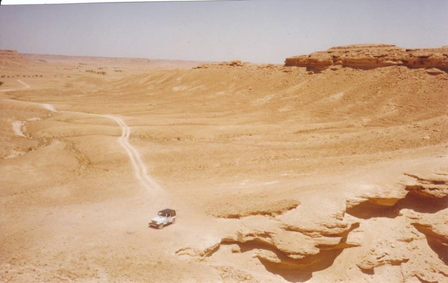 isolated_track.jpg