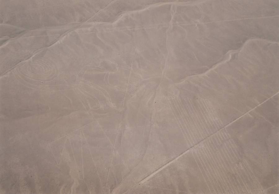 nasca_lines.jpg